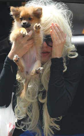 Amanda Bynes Amanda Bynes